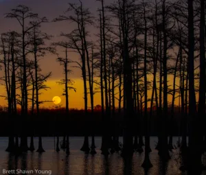 This is an image of A full moon rise over Goodale State Park. You can see the moon poking through the trees in the distance.