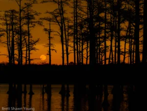 This is an image of A full moon rise over Goodale State Park. You can see the moon poking through the trees in the distance.