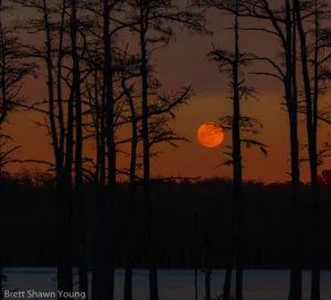 This is an image of a Blood Moon over Goodale State Park