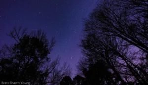 This is an image of the star "Polaris" as it goes over the cypress tree at Goodale State Park.