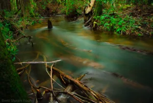 This is an image of A creek of flowing water at Goodale State Park. you can see logs of cypress trees laid over in the shallow body of water.