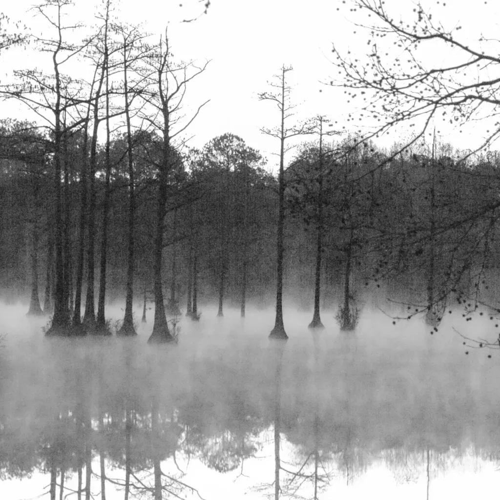 This is an image of a pre-2000's foggy morning at Goodale State Park. The image is black and white and grainy