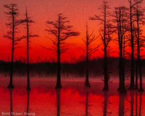 This is an image of a sunrise at Goodale State Park. The Sun is giving off a red hue to the atmosphere