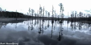 A cross-water image of Goodale State Park on a foggy morning