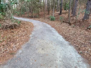 This is An image of a trail at Goodale State Park. You can see the trail taking a turn to the left up ahead