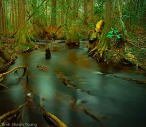 An image of a creek with flowing water at Goodale State Park