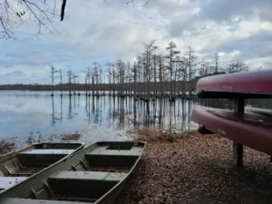 This is an image of Boats and Canoes at Goodale State Park. In the background you can see the bald cypress trees coming out the top of the water of the Civil War era Mill Pond