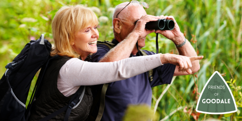 Beginner Bird Watching (Date TBD)